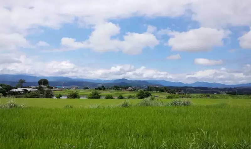 浅間・八ヶ岳パノラマトレイル