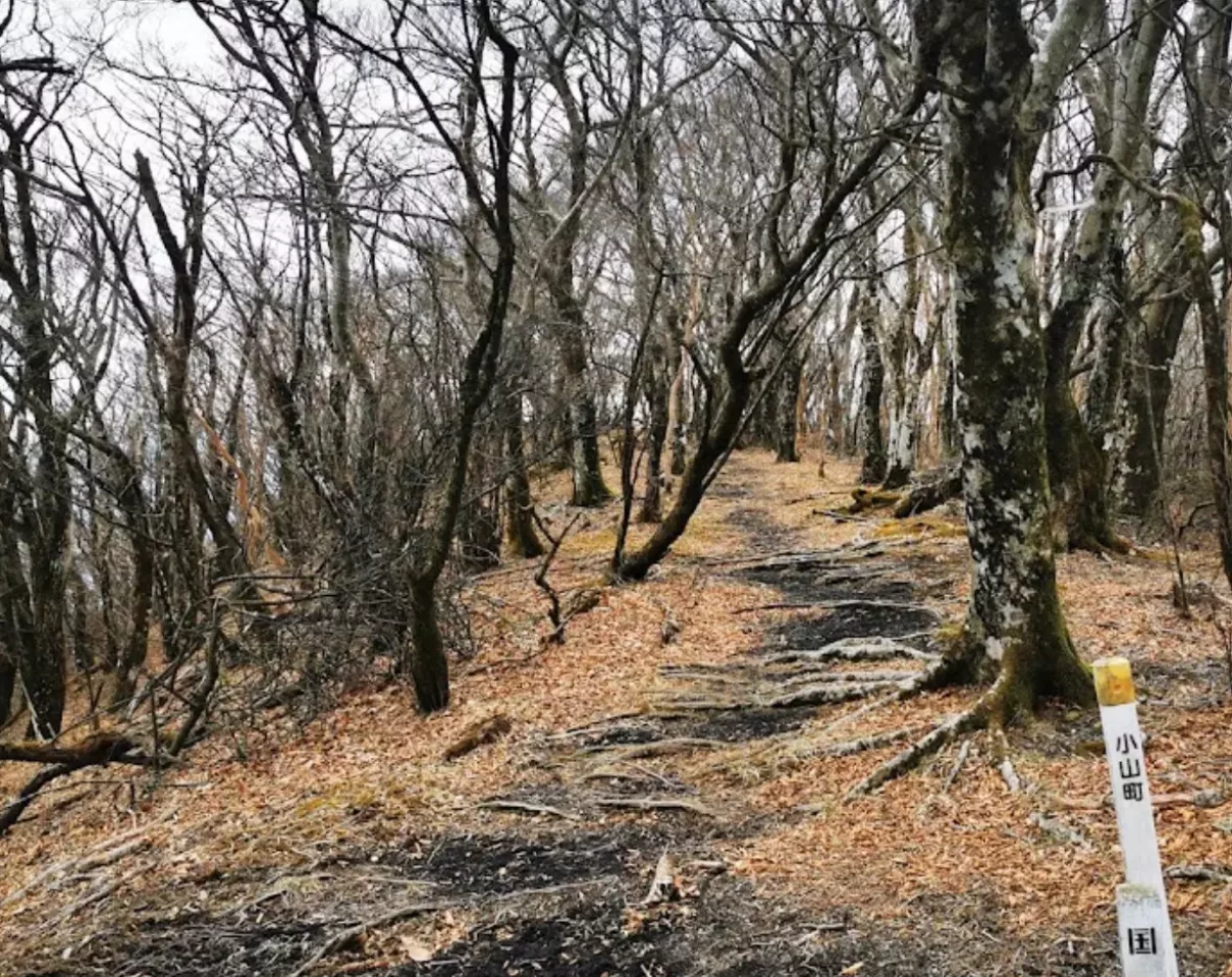 アザミ平、大洞山、楢木山を抜けて三国山へ