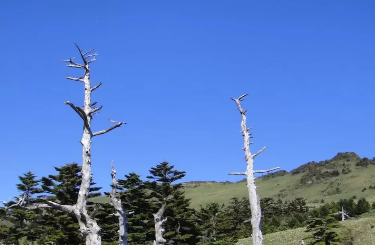 石鎚山系ロングトレイル