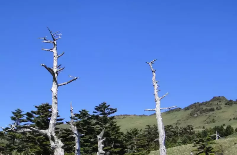 石鎚山系ロングトレイル