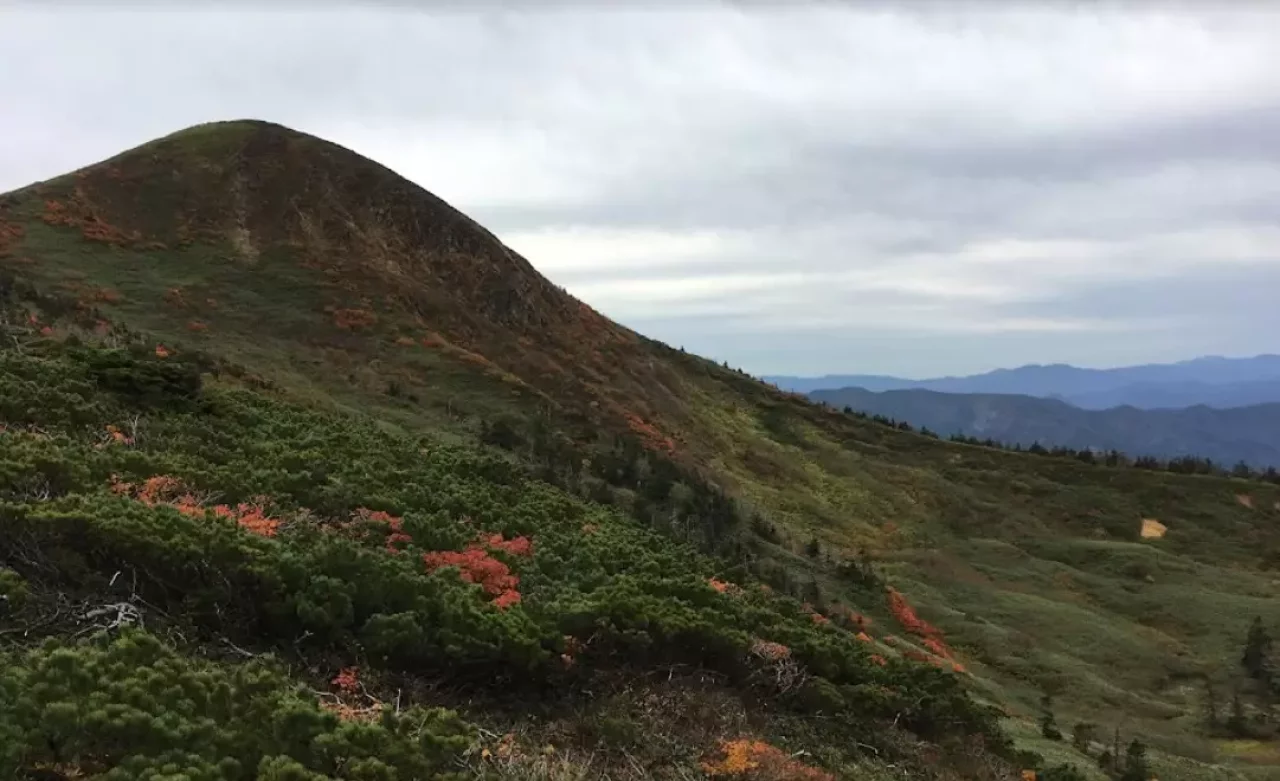岩手山・八幡平・安比高原 50kmトレイル