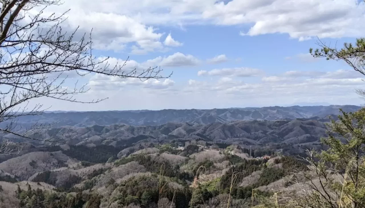 常陸太田市-西金砂神社の大銀杏と本殿からの景色