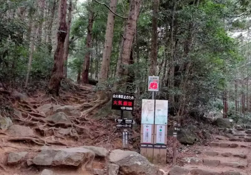 静かで花の多い「迎場コース」