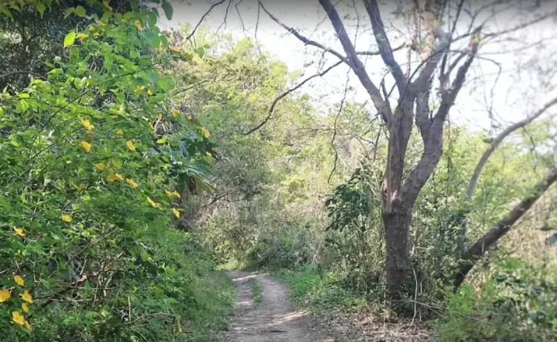 森戸川林道