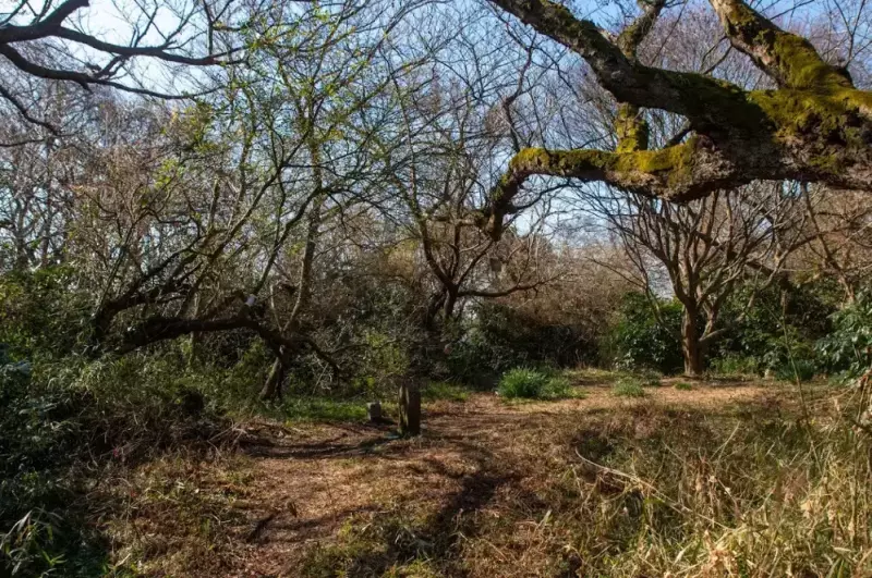 畠山山頂の景色