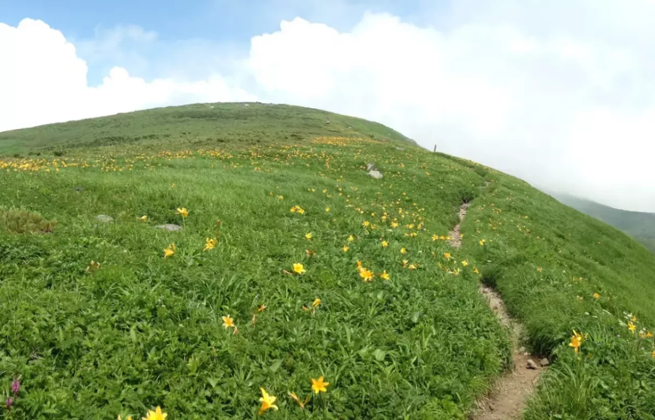 【日帰り登山】象潟口ルートで鳥海山を楽しむ梅雨登山ルート