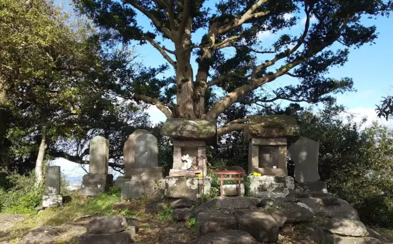 【日帰り登山】初心者におすすめ!山頂からの展望が良い三浦富士の難易度別ルート紹介|ルート紹介から探す|登山・トレラン・山スキーマガジン「山旅旅」