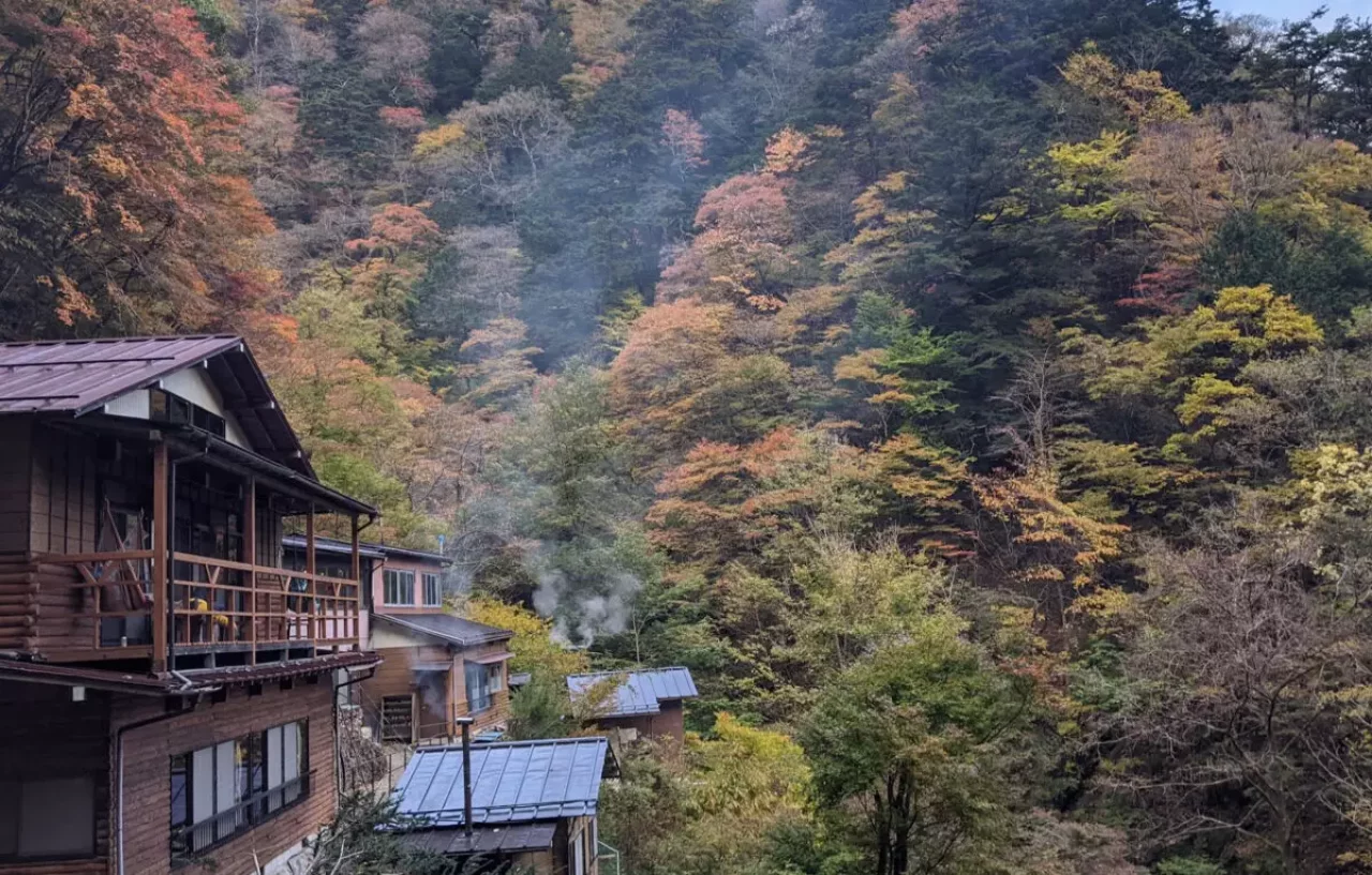 山深い三条の湯の温泉とセットに楽しむ登山
