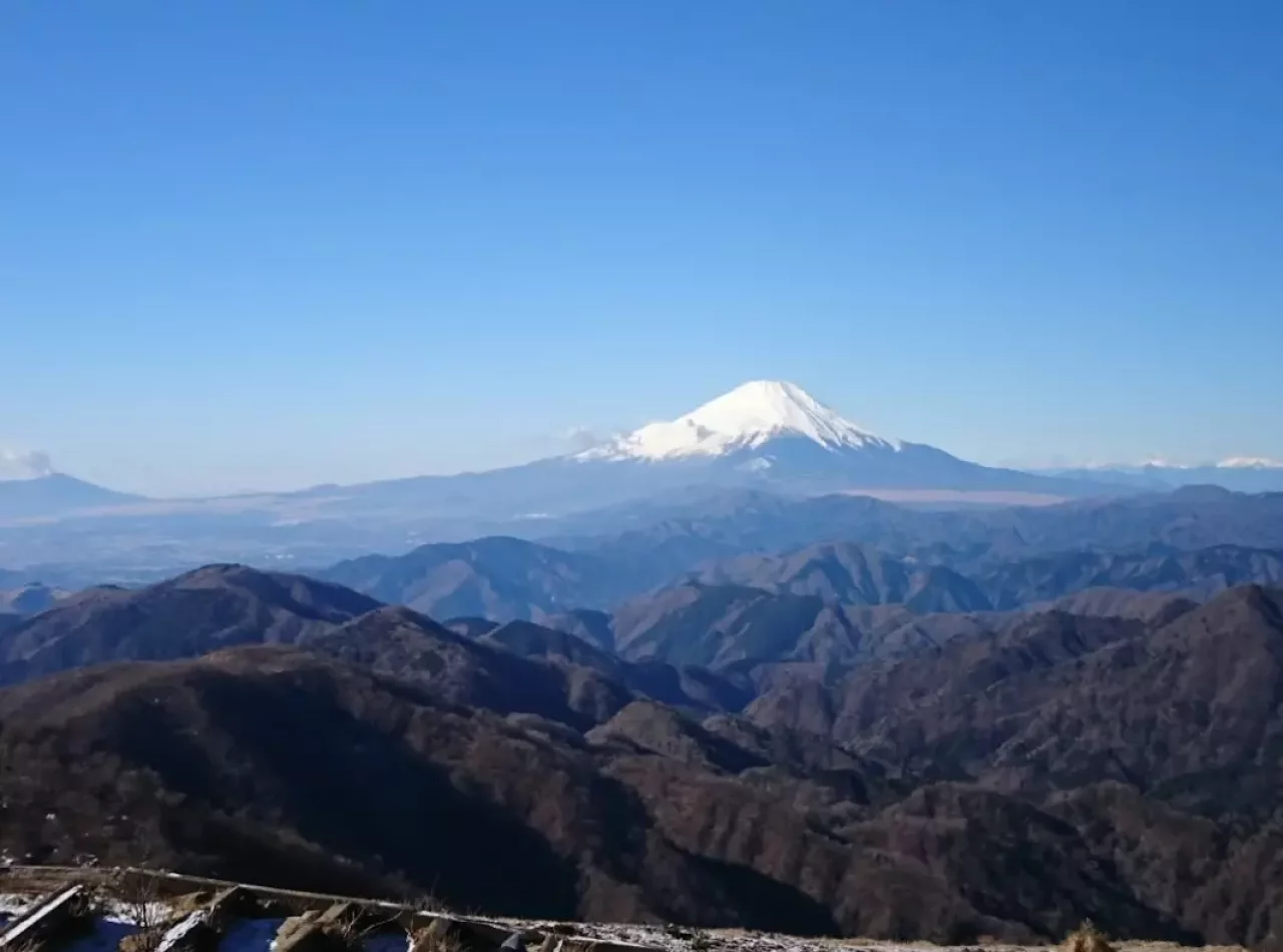 塔ノ岳 眺望 山頂 富士山