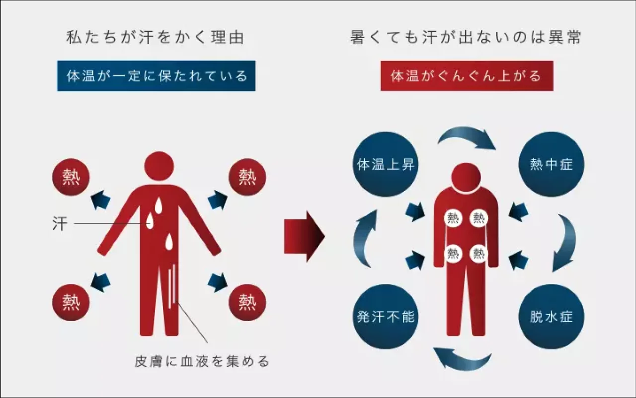 熱中症には脱水症が潜んでいます