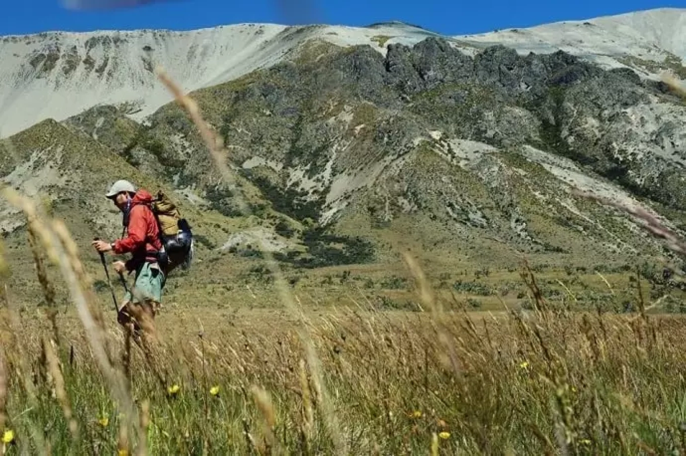 パタゴニア バギーズショーツ-カスタムして自分色に