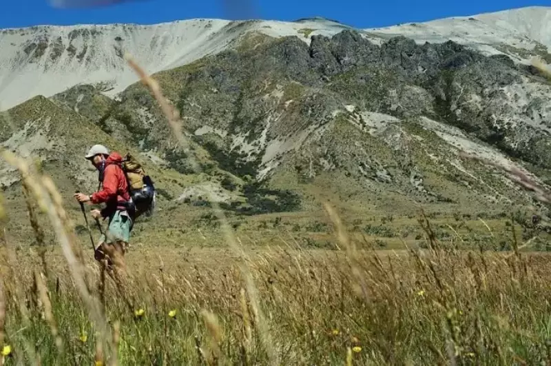 パタゴニア バギーズショーツ-カスタムして自分色に|パンツ・ショーツ|登山ウェア|山のモノ|登山・トレラン・山スキーマガジン「山旅旅」