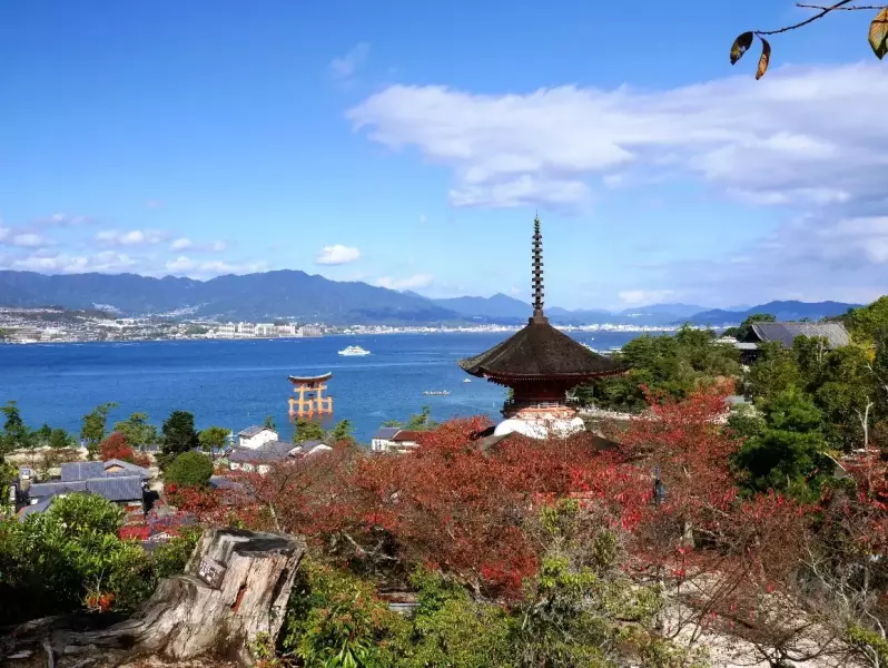 宮島とは