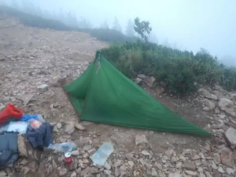 トレッキングポールを購入するきっかけ