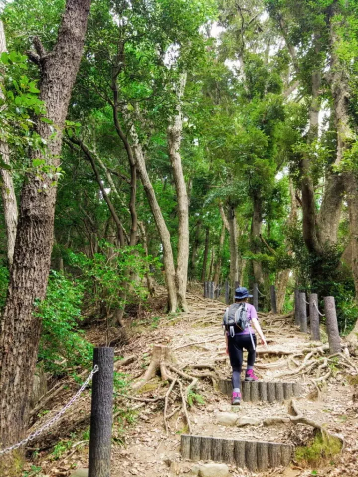 伊予ヶ岳 登山道