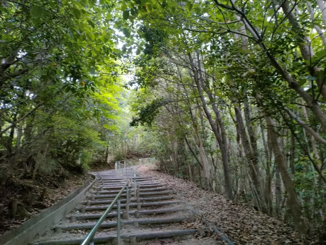 登った山は53mの海老山(かいろうやま)という低山