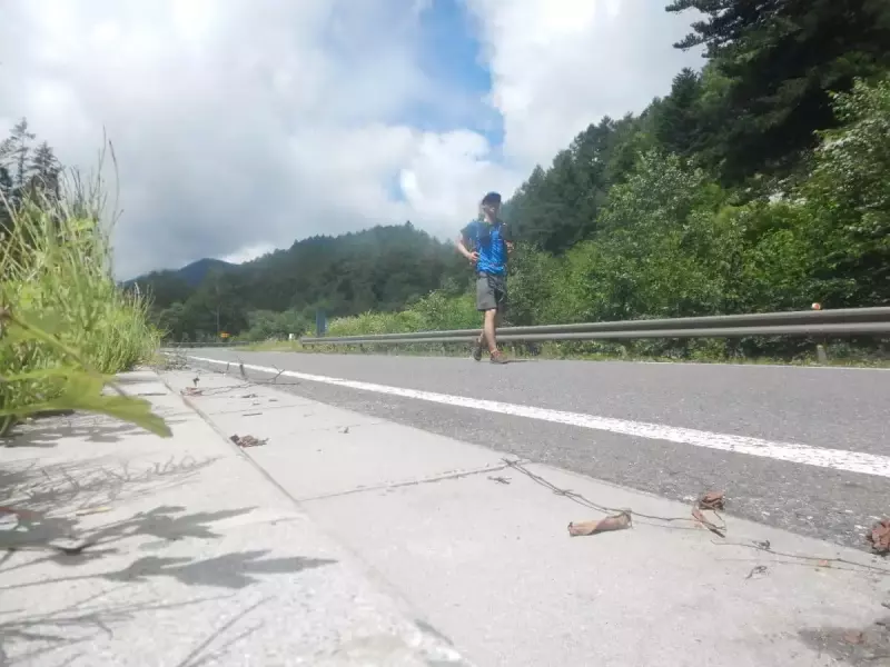 トレッキングポールを購入するきっかけ