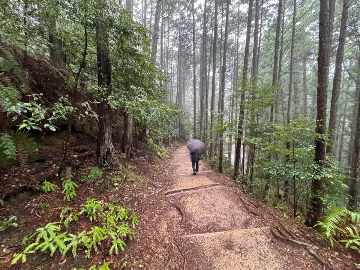 熊野古道の人気のルート「発心門王子~熊野本宮大社」を歩く|後編