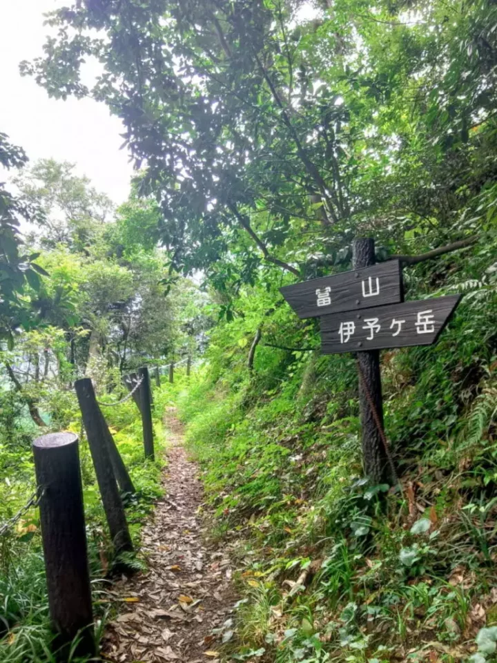 冨山・伊予ヶ岳の分岐