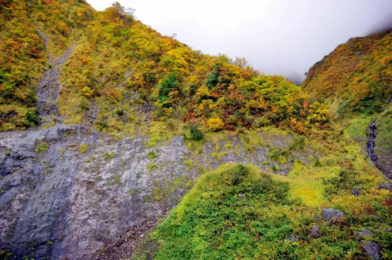 中荒沢・万年雪と紅葉登山6