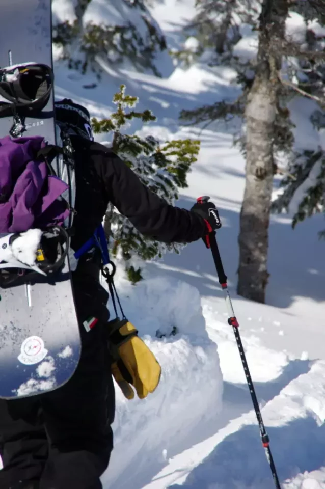 ブラックダイヤモンド エクスペディション3ポール