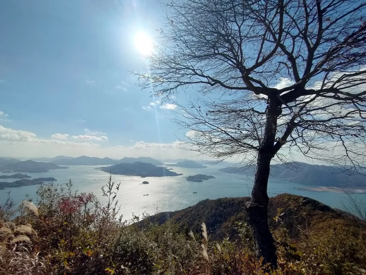 駅からハイキングができる広島の山:鉢ヶ峰~米田山で景色を堪能!みはらし連山