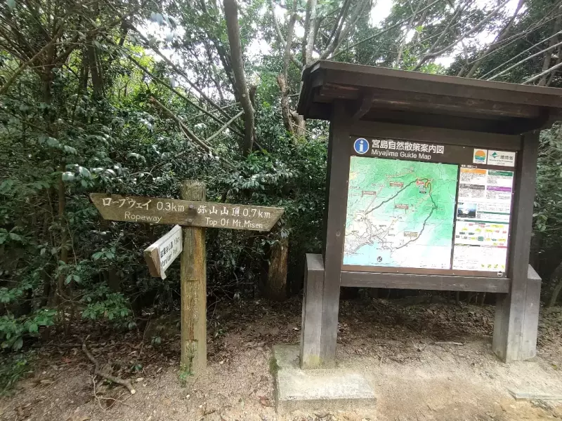 『紅葉谷コース』から登り『大聖院コース』を下りてくる登山コースを紹介
