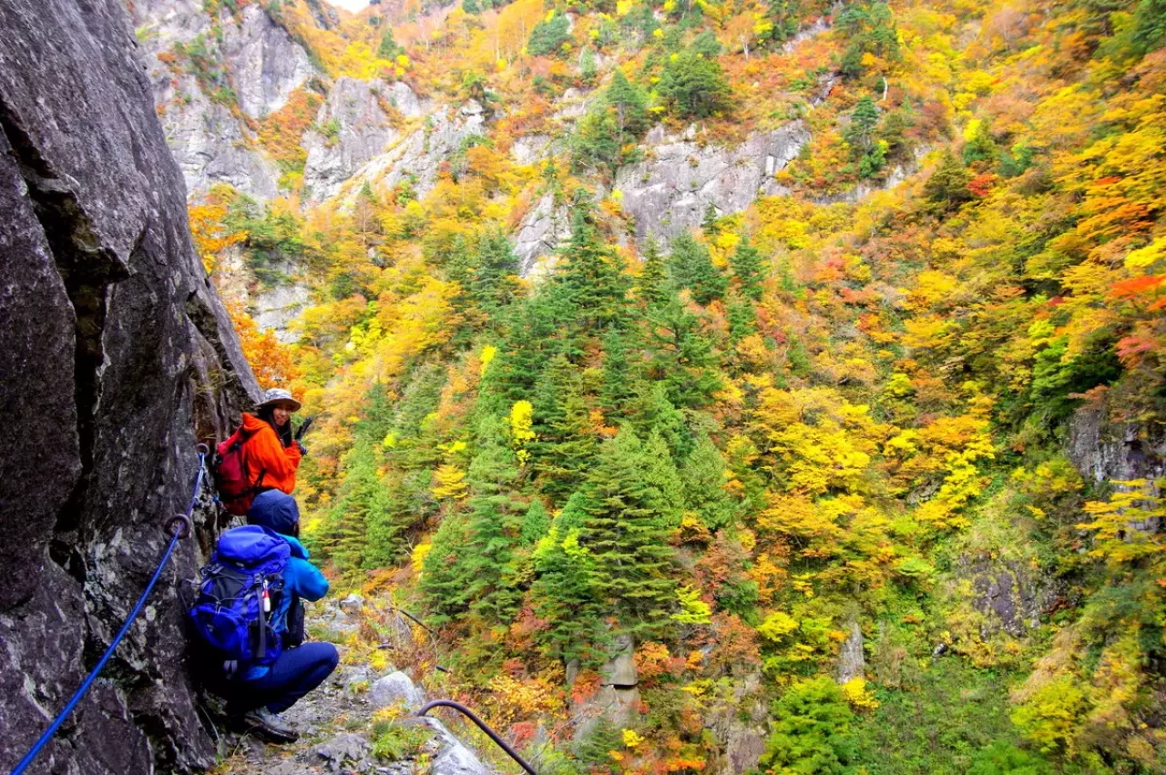 裏巻機渓谷の紅葉