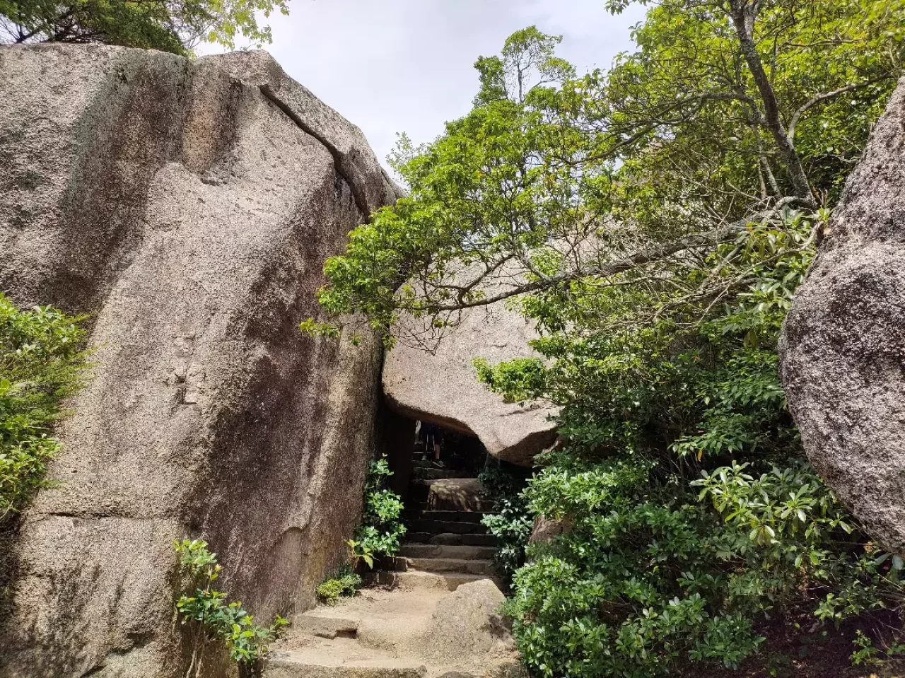 『紅葉谷コース』から登り『大聖院コース』を下りてくる登山コースを紹介