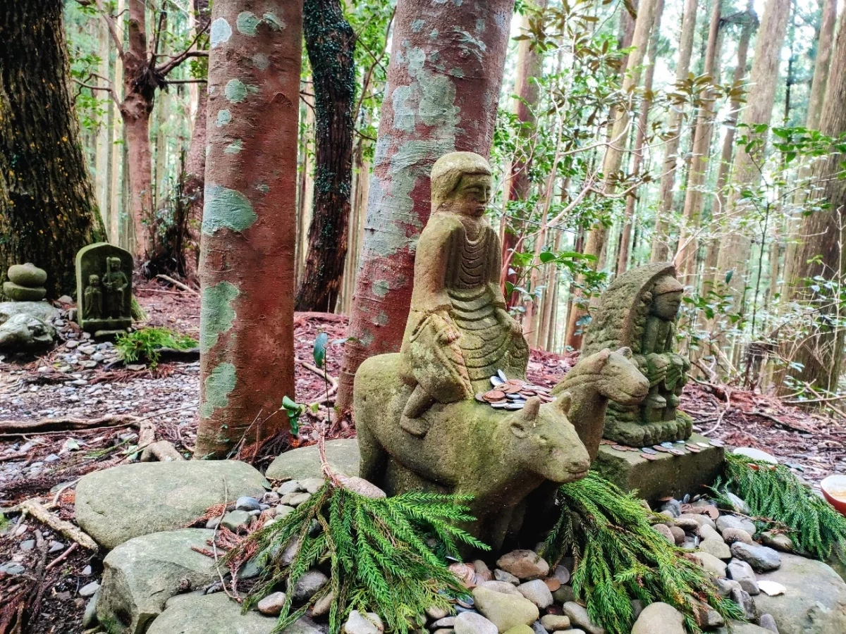 熊野古道の人気のルート「滝尻~近露」を歩く|前編