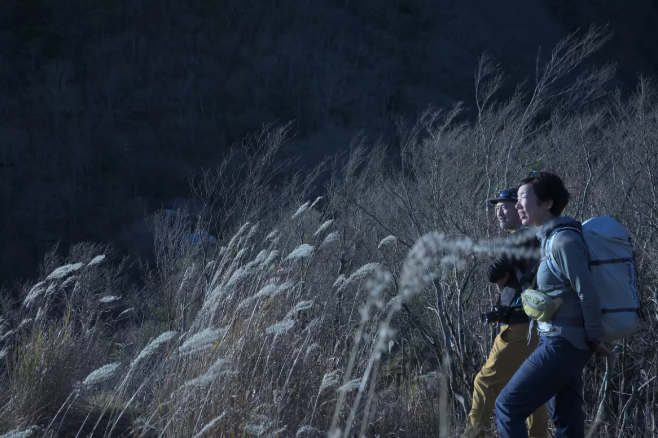 檜洞丸 登山ルート・難易度−美味しい山ごはんと富士山の絶景を堪能