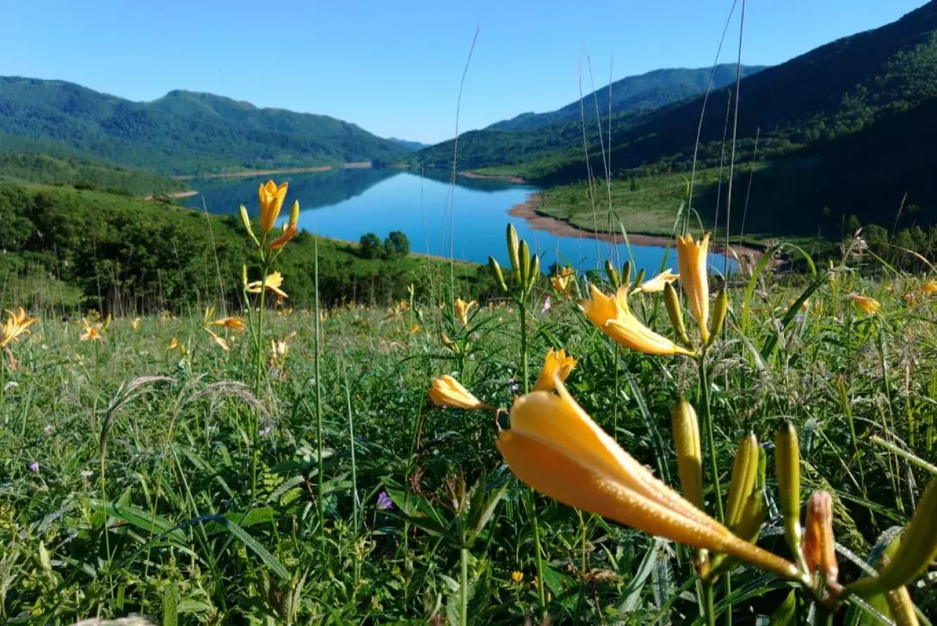 【初心者も安心】野反湖周遊ハイキング-コースマップ・難易度