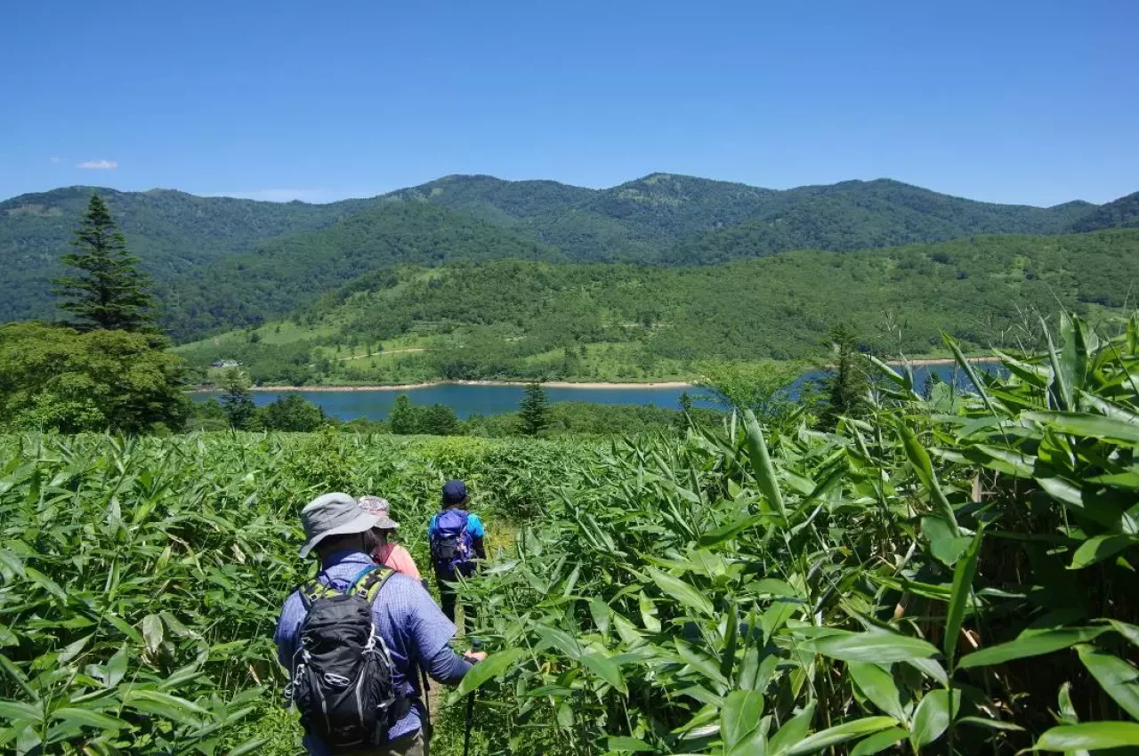 野反湖ハイキング周遊コース