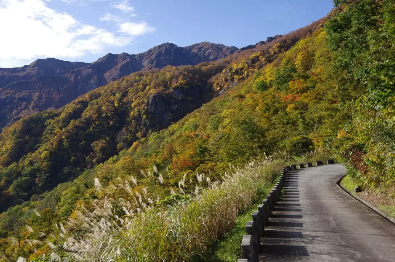 裏巻機渓谷の紅葉登山