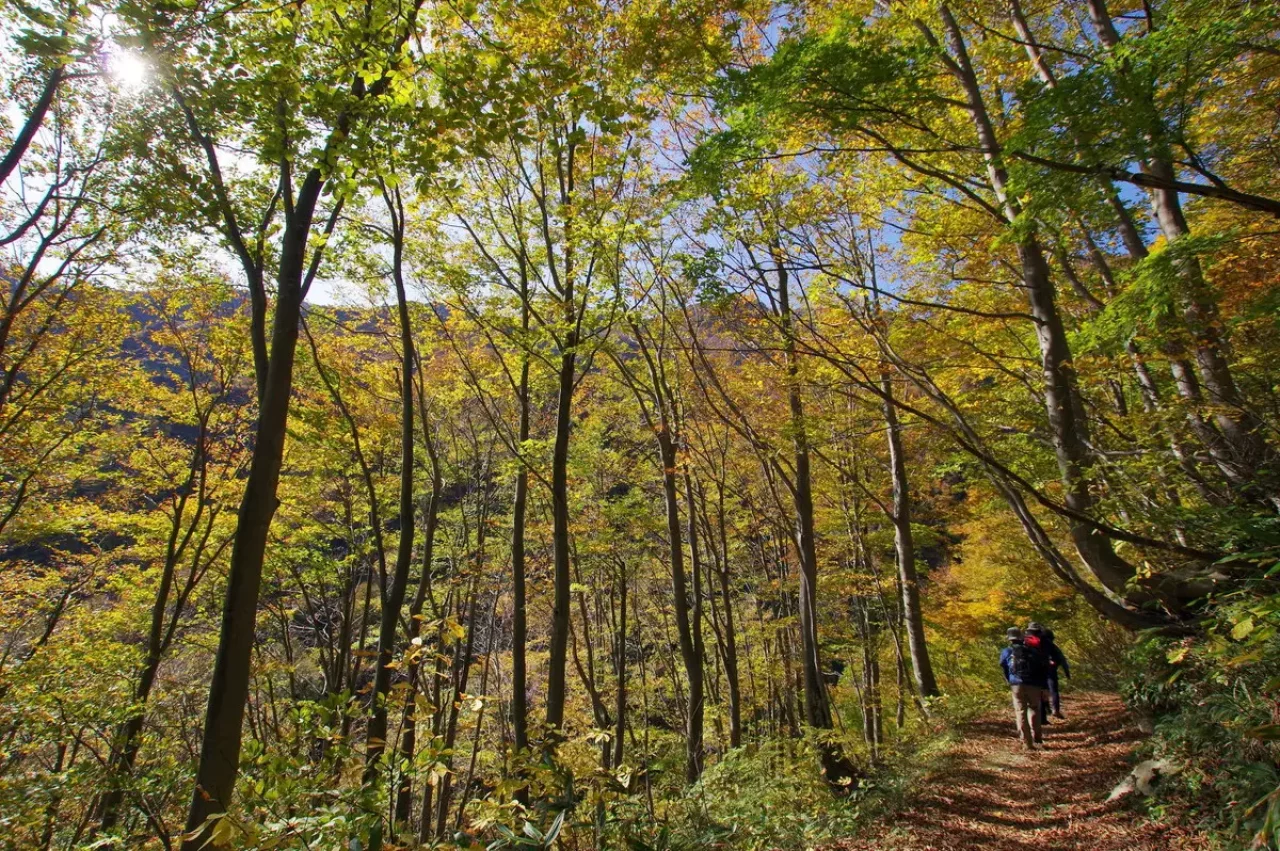 裏巻機渓谷の紅葉登山3