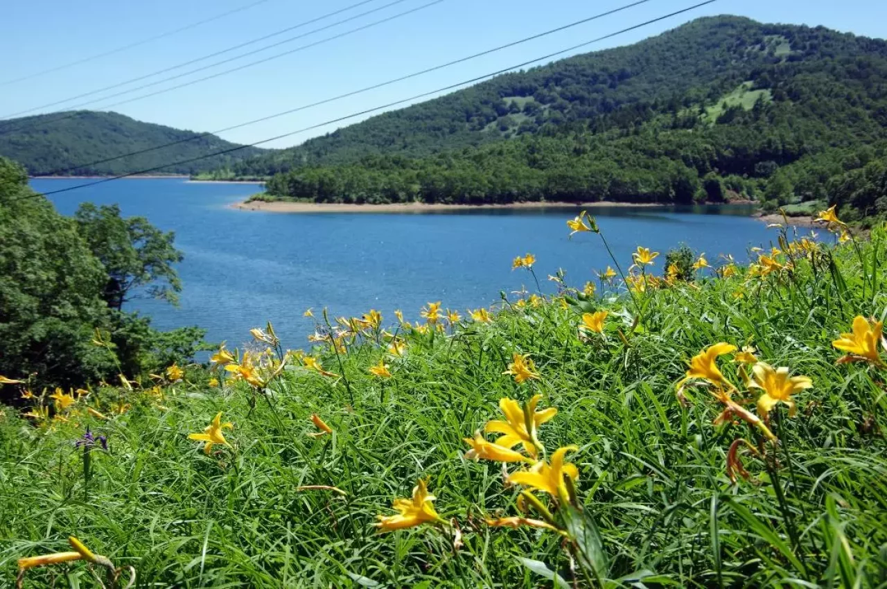 野反湖ハイキング周遊コース