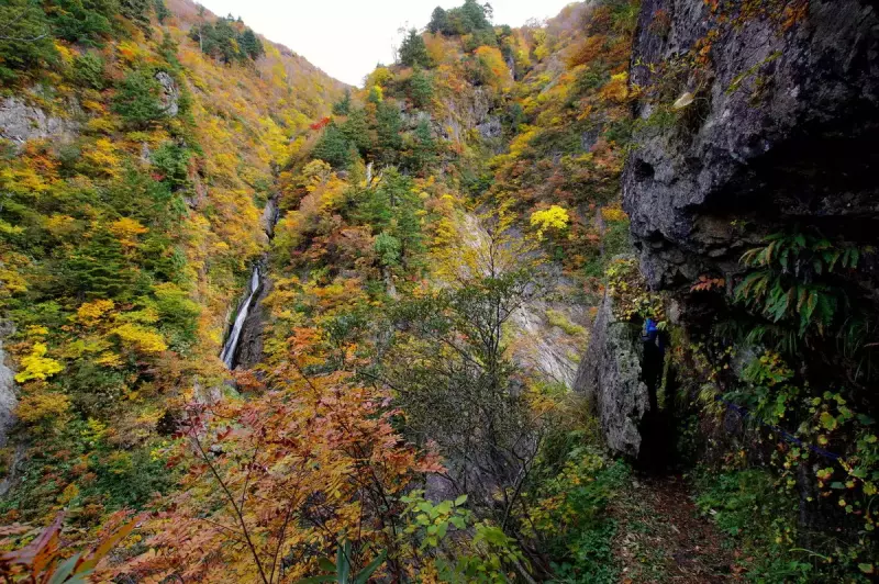 裏巻機渓谷の紅葉登山8