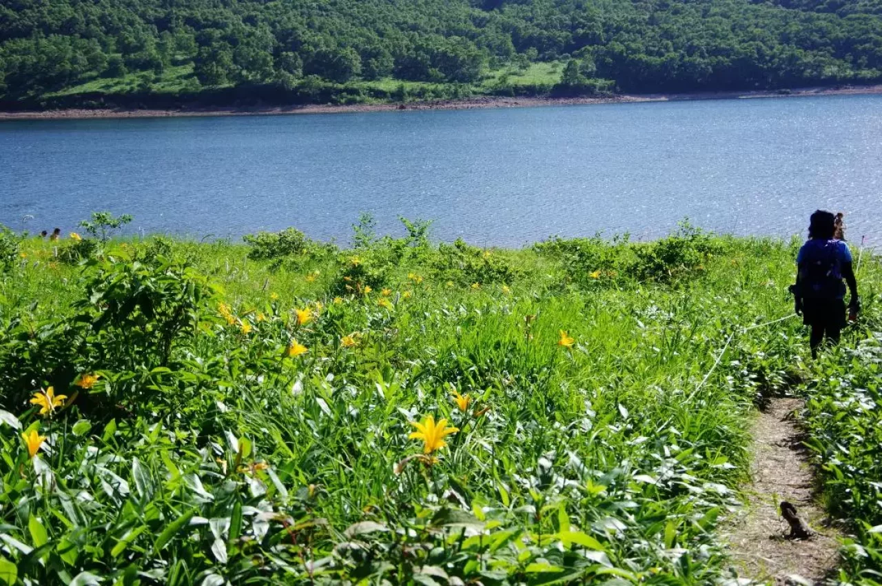 野反湖ハイキング周遊コース