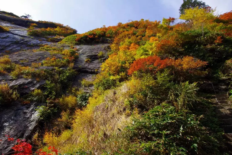 裏巻機渓谷の紅葉登山11