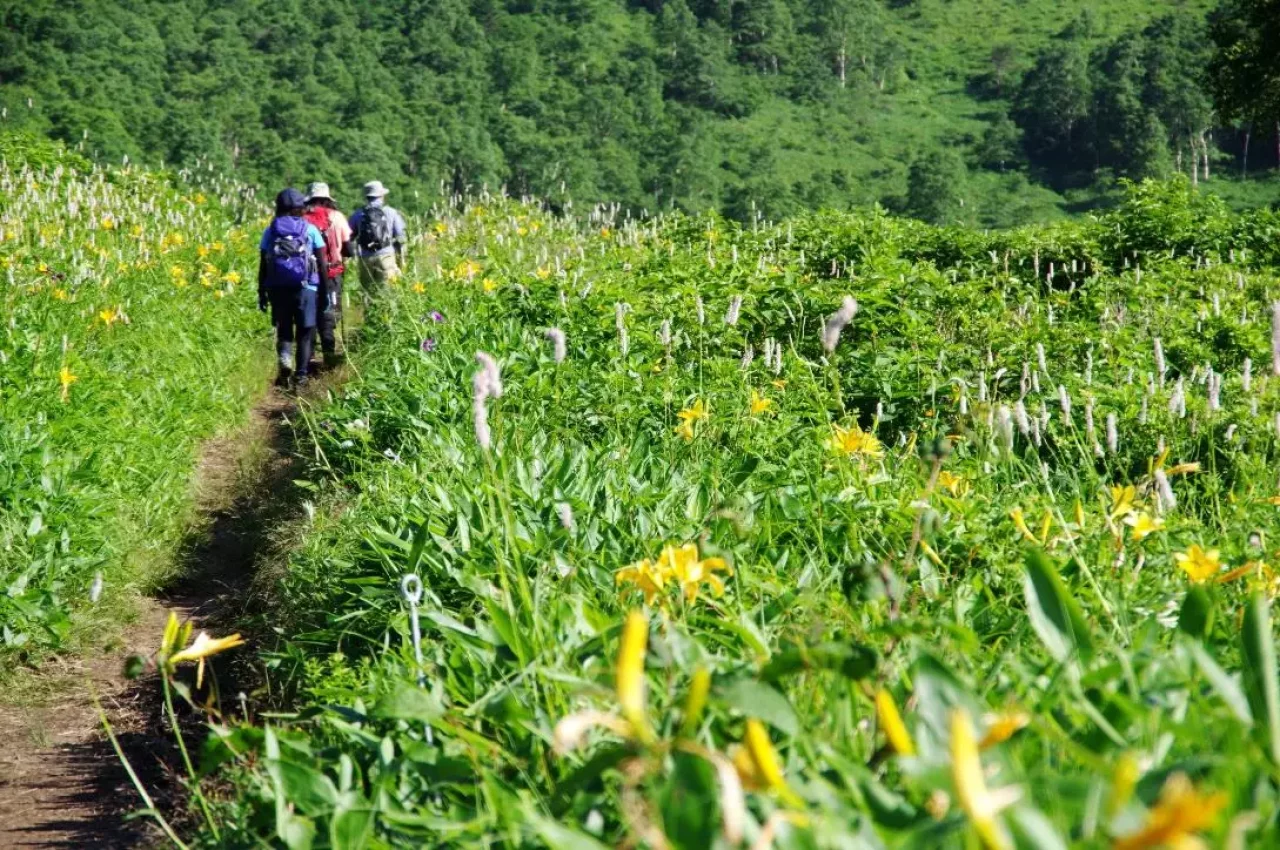 野反湖ハイキング周遊コース