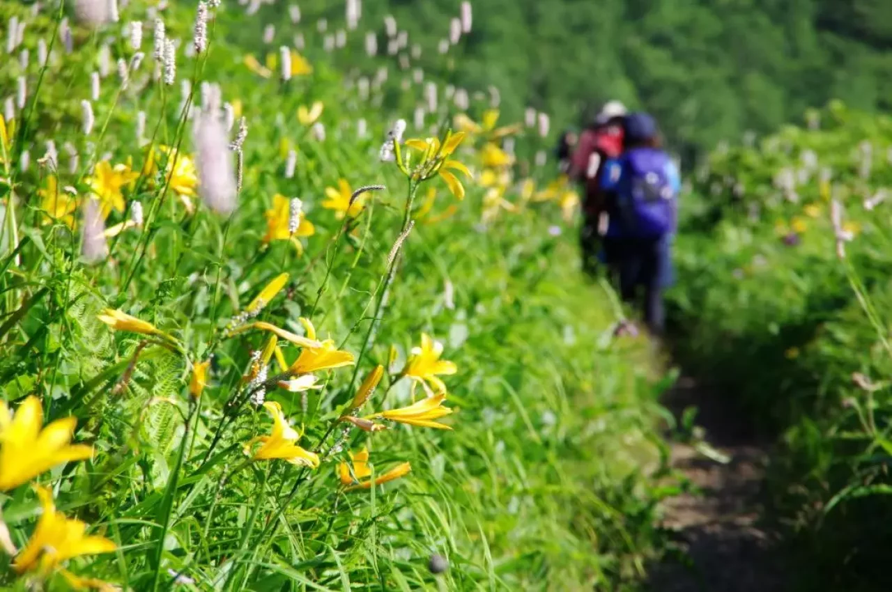 野反湖ハイキング周遊コース