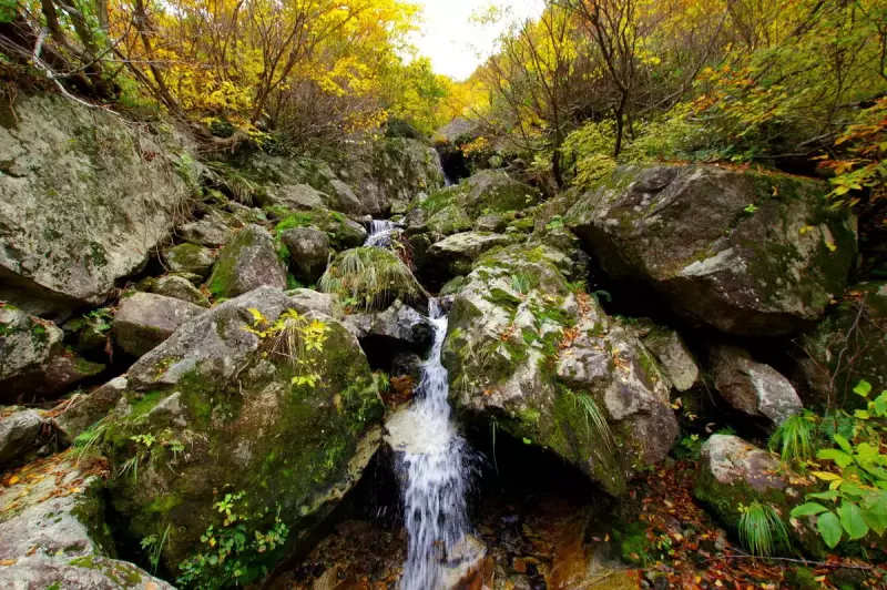 裏巻機渓谷の紅葉登山14