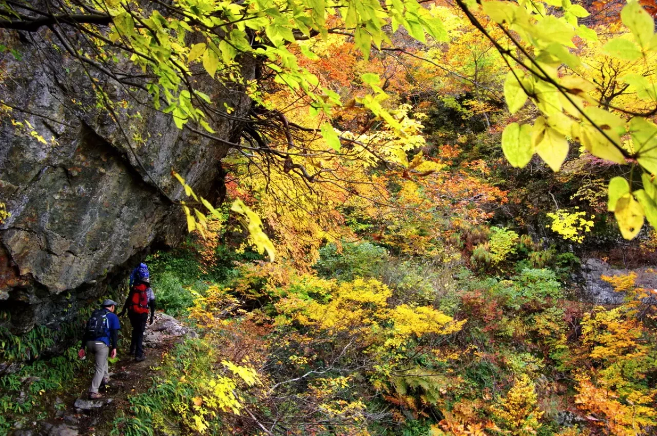 裏巻機渓谷の紅葉登山15