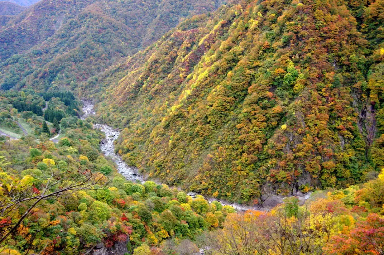 裏巻機渓谷の紅葉登山16