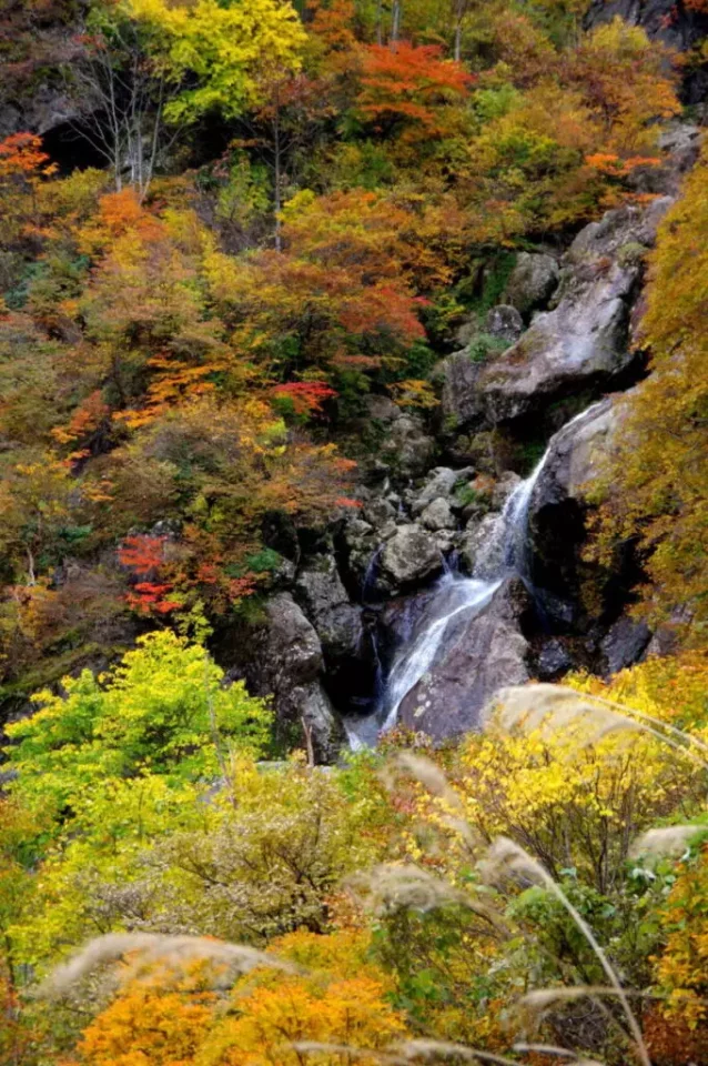 裏巻機渓谷の紅葉登山17