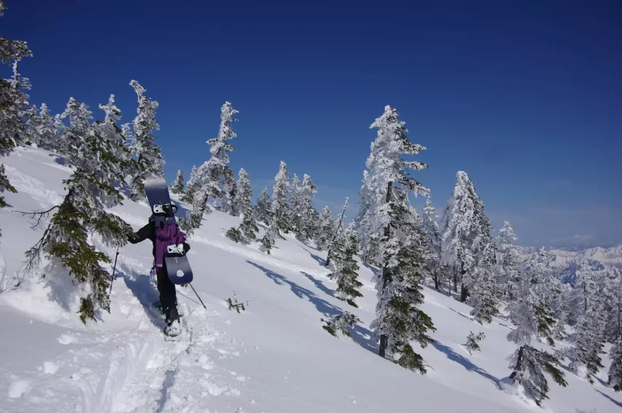 ハードシェル 裾 パタゴニア ゲイター
