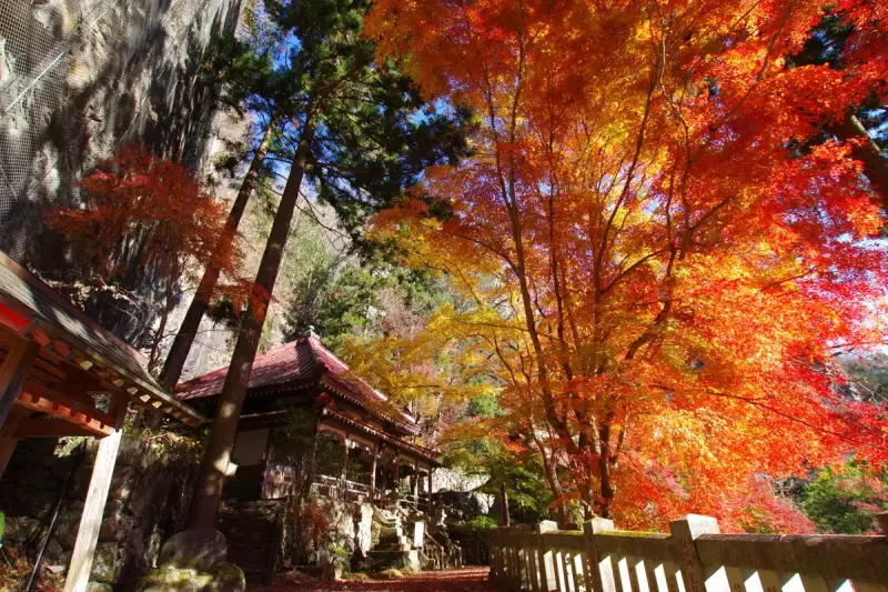 黒瀧山&黒瀧山不動寺 ・南牧の紅葉