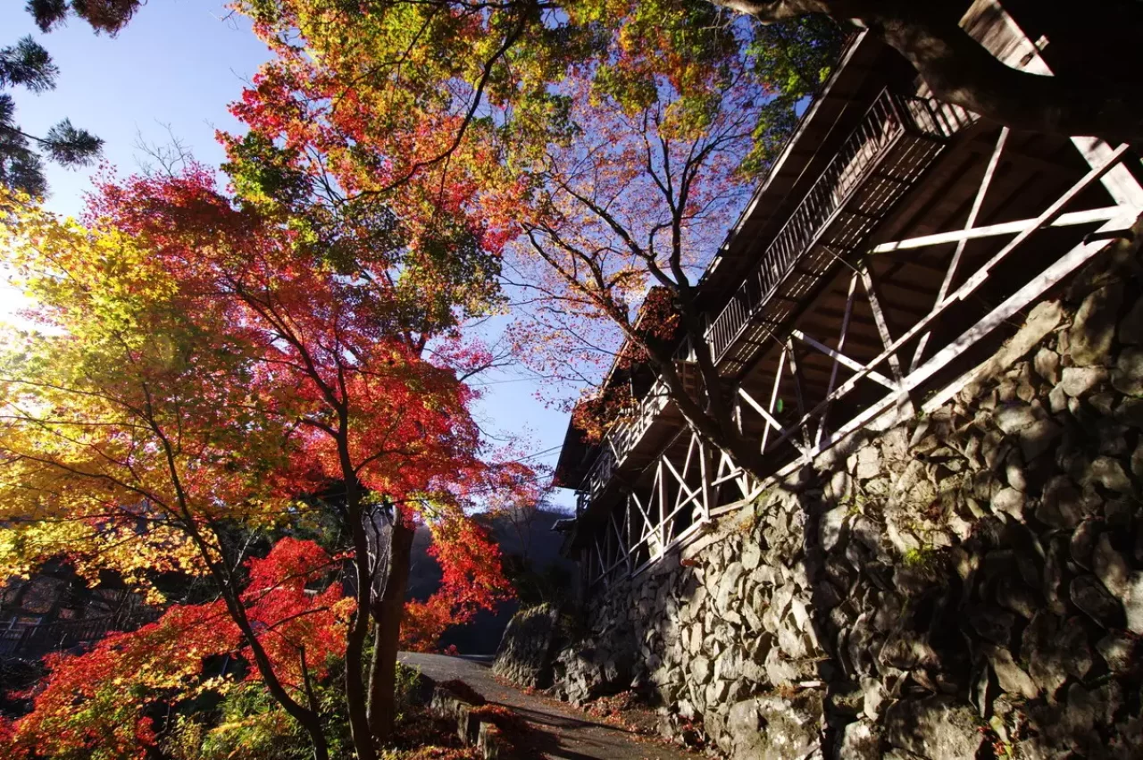 黒瀧山&黒瀧山不動寺 ・南牧の紅葉1