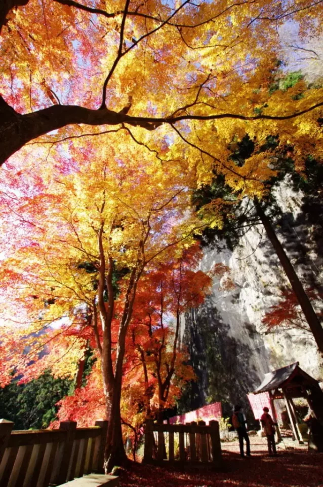 黒瀧山&黒瀧山不動寺 ・南牧の紅葉3