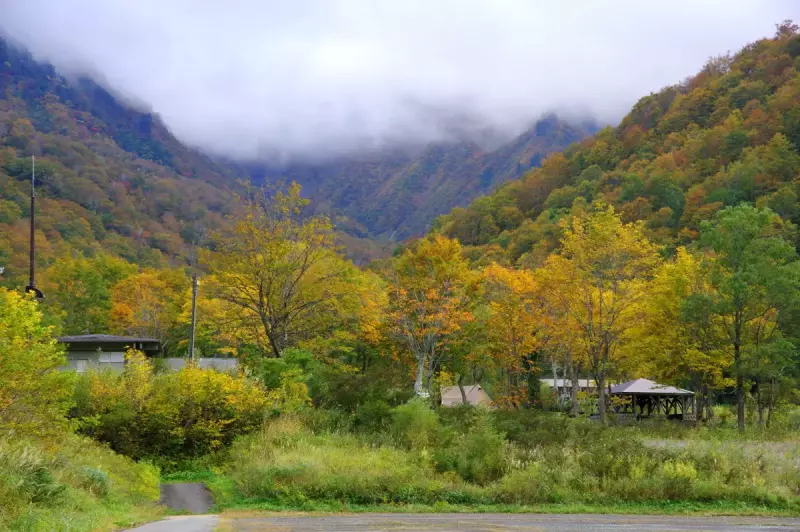 中荒沢・万年雪と紅葉2